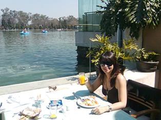 20090216185410-ellago.jpg
